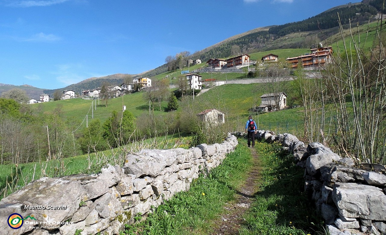 18 La mulattiera per Valzanega....JPG